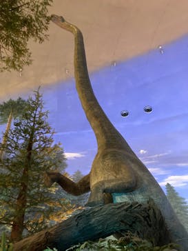 福井県立恐竜博物館に投稿された画像（2025/10/26）