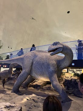 福井県立恐竜博物館に投稿された画像（2025/10/26）