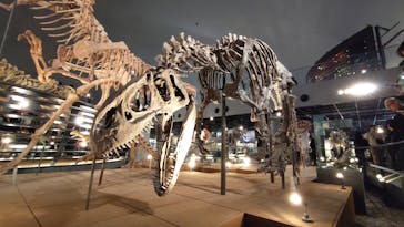 福井県立恐竜博物館に投稿された画像（2025/10/26）