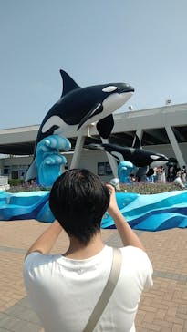 鴨川シーワールドに投稿された画像（2025/10/26）