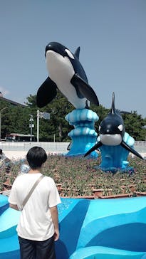 鴨川シーワールドに投稿された画像（2025/10/26）