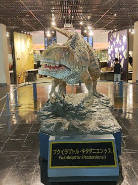 福井県立恐竜博物館に投稿された画像（2025/10/26）