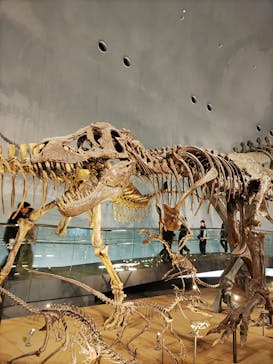 福井県立恐竜博物館に投稿された画像（2025/10/26）