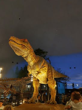 福井県立恐竜博物館に投稿された画像（2025/10/26）