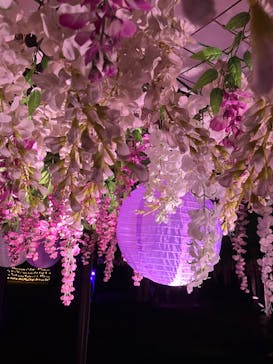 東京メガイルミに投稿された画像（2025/10/26）