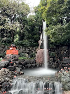 勝尾寺に投稿された画像（2025/10/26）