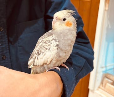 アニタッチららぽーと名古屋みなとアクルスに投稿された画像（2025/10/26）