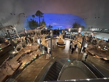 福井県立恐竜博物館に投稿された画像（2025/10/26）