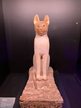 ACN ラムセス大王展 ファラオたちの黄金に投稿された画像（2025/10/26）