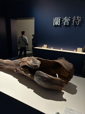 正倉院 THE SHOW ―感じる。いま、ここにある奇跡―　@上野の森美術館に投稿された画像（2025/10/26）