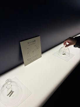 正倉院 THE SHOW ―感じる。いま、ここにある奇跡―　@上野の森美術館に投稿された画像（2025/10/26）