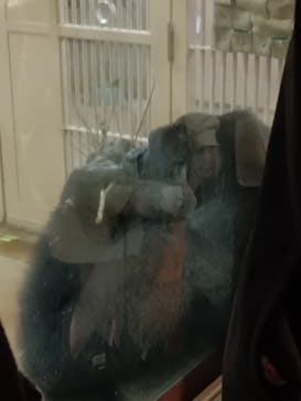 名古屋市東山動植物園に投稿された画像（2025/10/26）