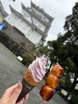 小田原城に投稿された画像（2025/10/26）