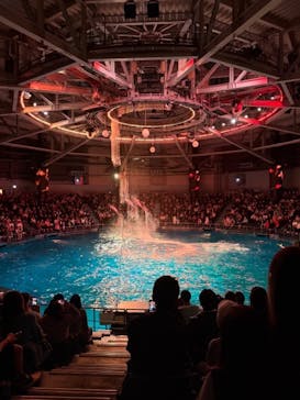 マクセル アクアパーク品川に投稿された画像（2025/10/26）