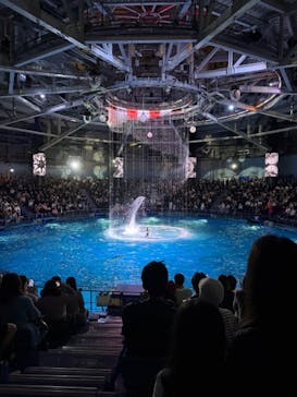 マクセル アクアパーク品川に投稿された画像（2025/10/26）