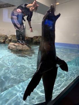 マクセル アクアパーク品川に投稿された画像（2025/10/26）