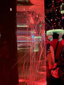 マクセル アクアパーク品川に投稿された画像（2025/10/26）