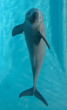 マリンワールド海の中道に投稿された画像（2025/10/26）