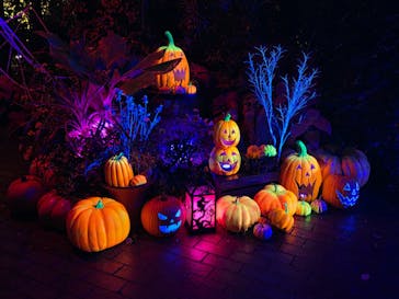 横浜イングリッシュガーデンに投稿された画像（2025/10/26）