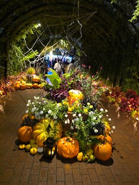 横浜イングリッシュガーデンに投稿された画像（2025/10/26）