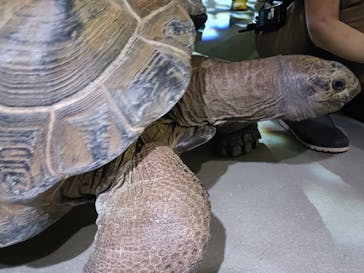 AQUARIUM × ART　atoa×felissimo chocolate museum（フェリシモ チョコレート ミュージアム）に投稿された画像（2025/10/26）