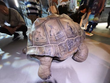 AQUARIUM × ART　atoa×felissimo chocolate museum（フェリシモ チョコレート ミュージアム）に投稿された画像（2025/10/26）