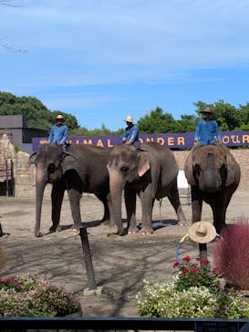 ANIMAL WONDER REZOURT 市原ぞうの国・サユリワールドに投稿された画像（2025/10/26）