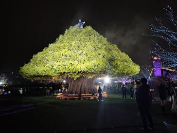 東京メガイルミに投稿された画像（2025/10/26）
