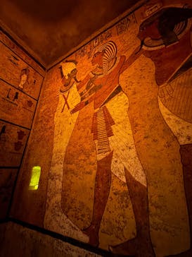 MYSTERY OF TUTANKHAMEN 体感型古代エジプト展に投稿された画像（2025/10/26）