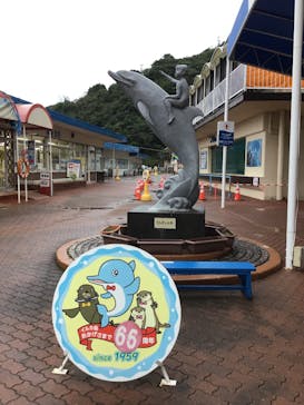 鳥羽湾めぐりとイルカ島に投稿された画像（2025/10/26）