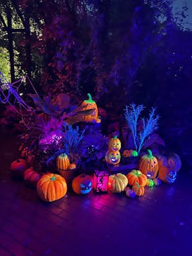 横浜イングリッシュガーデンに投稿された画像（2025/10/26）