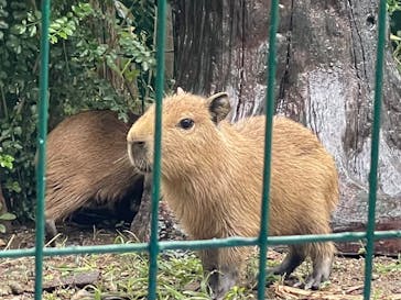 竹島水族館に投稿された画像（2025/10/26）