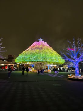 東京メガイルミに投稿された画像（2025/10/26）