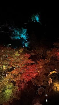 NAKED夜さんぽ™ 石川・那谷寺に投稿された画像（2025/10/26）