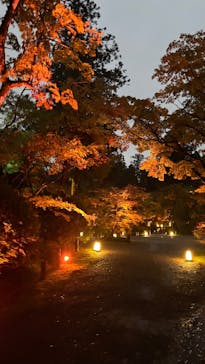 NAKED夜さんぽ™ 石川・那谷寺に投稿された画像（2025/10/26）