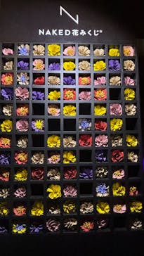 NAKED夜さんぽ™ 石川・那谷寺に投稿された画像（2025/10/26）