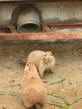 伊豆シャボテン動物公園に投稿された画像（2025/10/26）