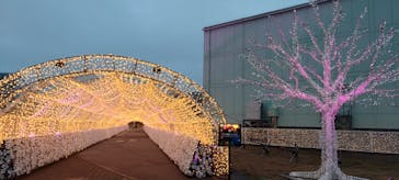 東京メガイルミに投稿された画像（2025/10/26）