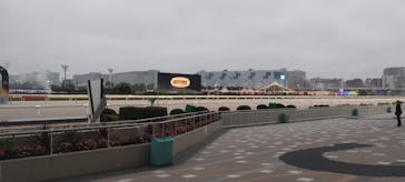 東京メガイルミに投稿された画像（2025/10/26）