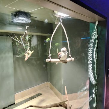 カワスイ 川崎⽔族館に投稿された画像（2025/10/26）