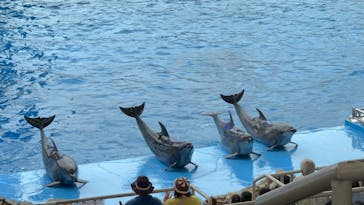名古屋港水族館に投稿された画像（2025/10/26）