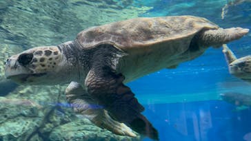 名古屋港水族館に投稿された画像（2025/10/26）