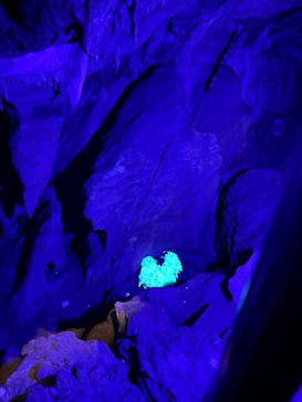 あぶくま洞に投稿された画像（2025/10/26）