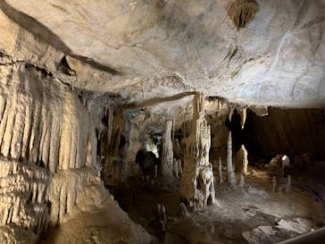 あぶくま洞に投稿された画像（2025/10/26）