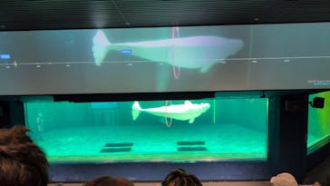 鴨川シーワールドに投稿された画像（2025/10/26）