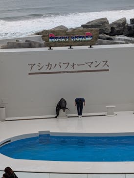 鴨川シーワールドに投稿された画像（2025/10/26）