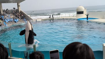 鴨川シーワールドに投稿された画像（2025/10/26）