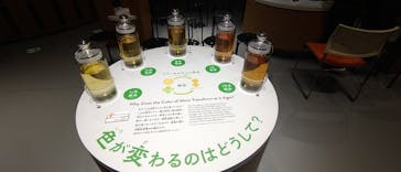 流山市白みりんミュージアムに投稿された画像（2025/10/26）