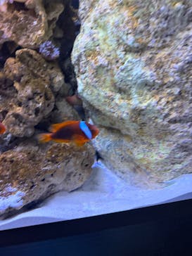 すみだ水族館に投稿された画像（2025/10/26）