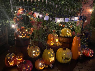 横浜イングリッシュガーデンに投稿された画像（2025/10/26）